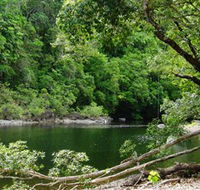 Broadwater Abergowrie State Forest - Tourism Caloundra