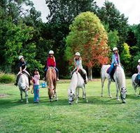 Limestone Coast Horseriding - Tourism Caloundra