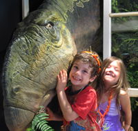 Australian Opal Centre - Tourism Caloundra