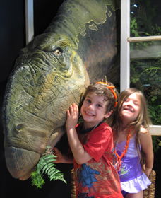 Australian Opal Centre - Tourism Caloundra 0