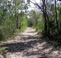 Lanky's Walk - Tourism Caloundra