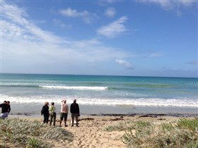 Beachport Surf Beach - Tourism Caloundra 2