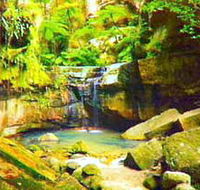 Carnarvon Gorge Carnarvon National Park - Tourism Caloundra