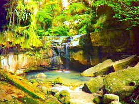 Carnarvon Gorge, Carnarvon National Park - Tourism Caloundra 0
