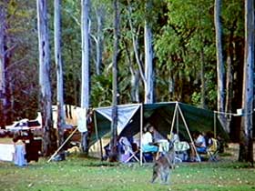 Carnarvon Gorge, Carnarvon National Park - Tourism Caloundra 2
