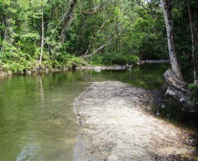 Tully Gorge National Park - Tourism Caloundra 2