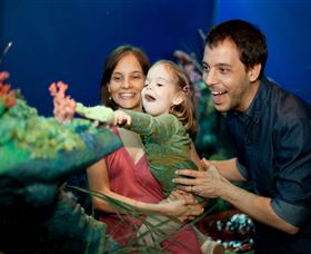 Museum Of Tropical Queensland - Tourism Caloundra 2