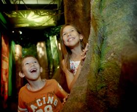 Museum Of Tropical Queensland - Tourism Caloundra 1