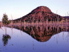 Nuga Nuga National Park And Lake Nuga Nuga - Tourism Caloundra 3