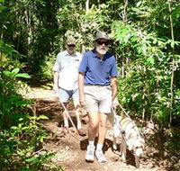 Wongabel State Forest - Tourism Caloundra