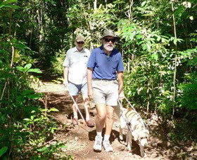 Wongabel State Forest - Tourism Caloundra 0