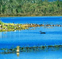 Hasties Swamp National Park - Tourism Caloundra