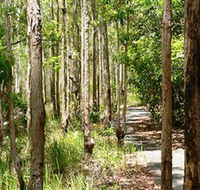 Hallorans Hill Conservation Park - Tourism Caloundra