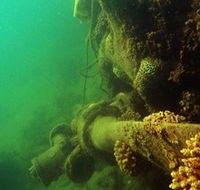 Wreck Diving at Magnetic Island - Tourism Caloundra