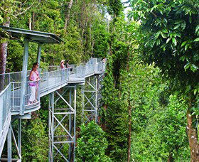 Mamu Tropical Skywalk - Tourism Caloundra 0