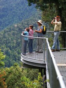 Mamu Tropical Skywalk - Tourism Caloundra 2