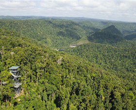 Mamu Tropical Skywalk - Tourism Caloundra 3
