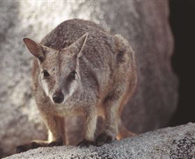 Arcadia At Magnetic Island - Tourism Caloundra 2