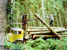 Nangwarry Forestry And Logging Museum - Tourism Caloundra 3