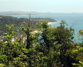 Clump Mountain National Park - Tourism Caloundra 1