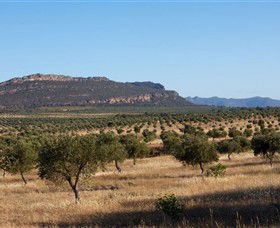 Grampians Olive Co. (Toscana Olives) - Tourism Caloundra 1