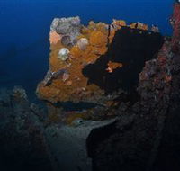 Lady Bowen Dive Site - Tourism Caloundra
