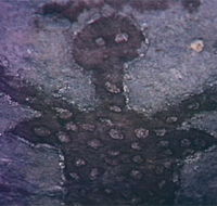 Quinkan Reserves Ancient Rock Art - Tourism Caloundra