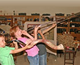 The Bible Museum - Tourism Caloundra 2