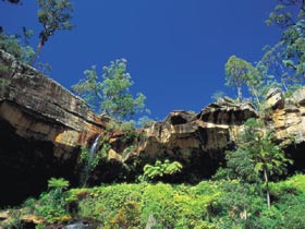 Blackdown Tableland National Park - Tourism Caloundra 1