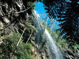 Blackdown Tableland National Park - Tourism Caloundra 2