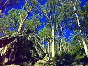 Blackdown Tableland National Park - Tourism Caloundra 3