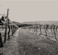 Halls Gap Estate - Tourism Caloundra