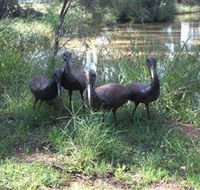 East Tolans Farm Tour - Tourism Caloundra