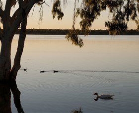 Lake Elphinstone - Tourism Caloundra 2