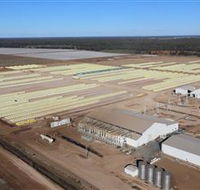 Southern Cotton Gin - Tourism Caloundra
