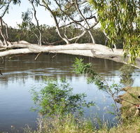 Murray Valley National Park - Tourism Caloundra