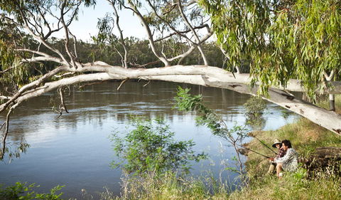 Murray Valley National Park - Tourism Caloundra 0