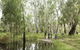 Murray Valley National Park - thumb 3