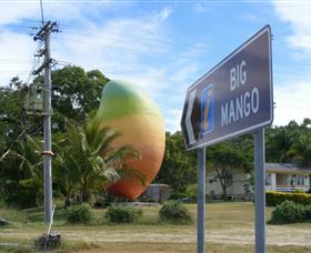 Big Mango - Tourism Caloundra 0