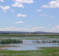 Fivebough Wetlands - Tourism Caloundra