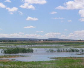 Fivebough Wetlands - Tourism Caloundra 0