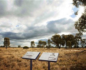 Backroads Trail - Tourism Caloundra 2