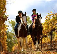 Billabong Ranch - Tourism Caloundra