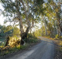 Alton Gallery - Echuca Moama Artists - Tourism Caloundra