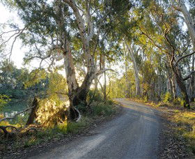 Alton Gallery - Echuca Moama Artists - Tourism Caloundra 0