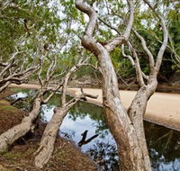 Oyala Thumotang National Park CYPAL - Tourism Caloundra
