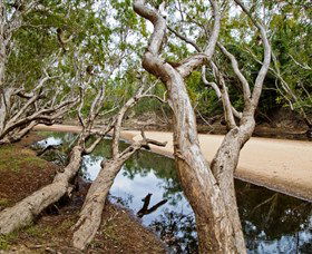 Oyala Thumotang National Park (CYPAL) - Tourism Caloundra 0