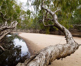 Oyala Thumotang National Park (CYPAL) - Tourism Caloundra 3