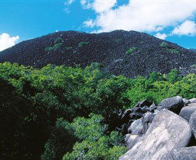 Black Mountain (Kalkajaka) National Park - Tourism Caloundra 0