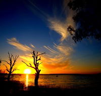 Lake Cowal - Tourism Caloundra